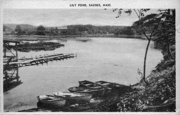 A few boats on the banks of Lily Pond