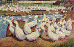 A painting of Carl's Duck Farm